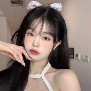 机场管理员日记游戏下载